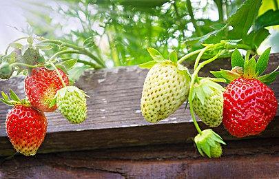 《黑帝斯2》重大更新 战神阿瑞斯和新祝福加入